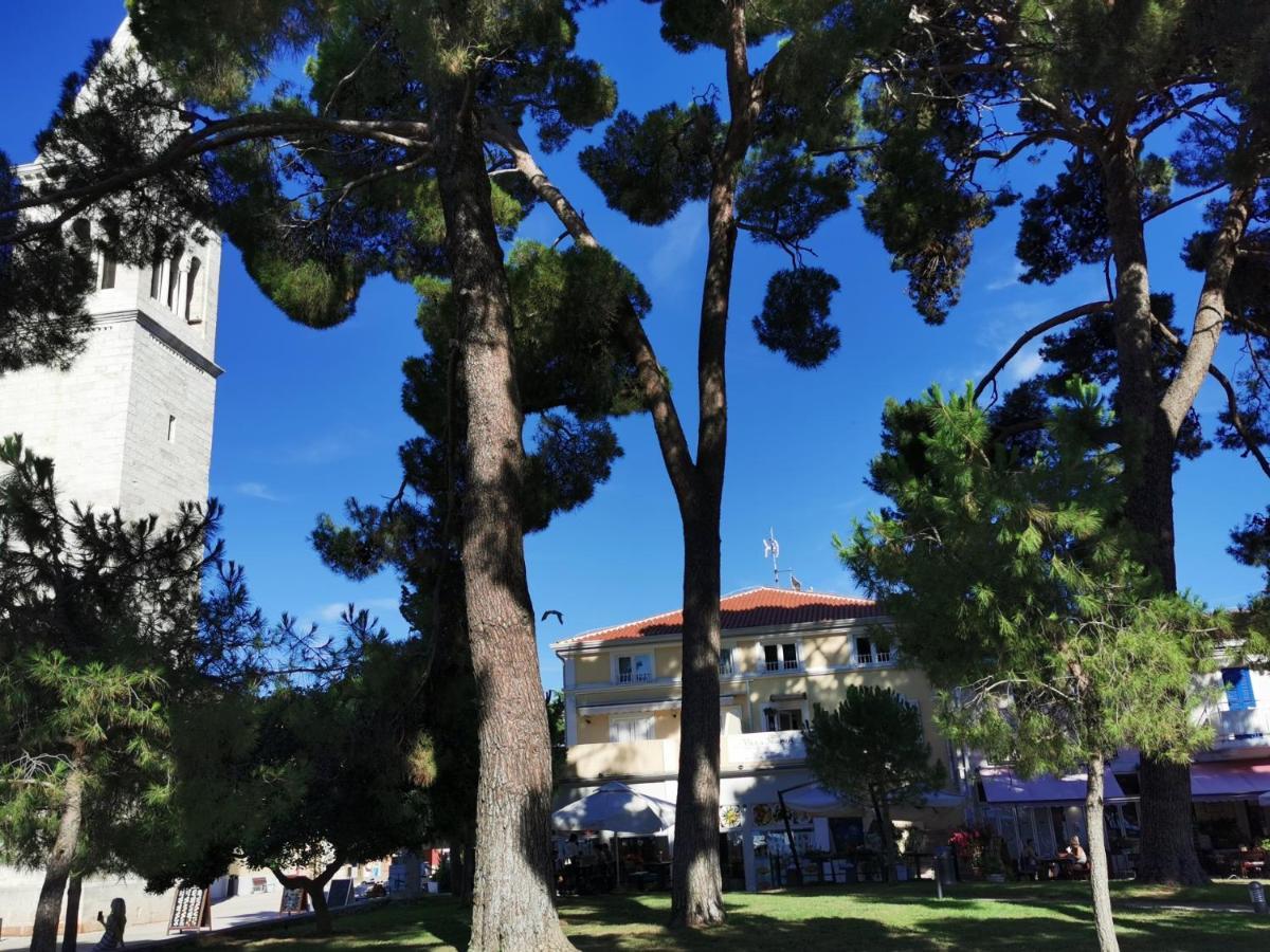 Emily Deluxe Superior 5 Star Studio Apartment, Your Piece Of Heaven With Sea & Park View Novigrad  Exterior photo